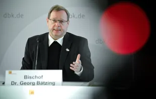 Bischof Georg Bätzing bei der Frühjahrsvollversammlung der deutschen Bischofskonferenz im Februar 2021. / Sascha Steinbach / epa pool