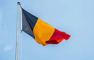 Belgische Flagge / chris robert / Unsplash