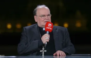 Bischof Bertram Meier / EWTN