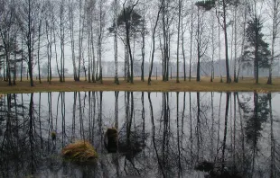 Das feuchte Grab der Asche der Heiligen vor den Birken von Birkenau.  / Paul Badde / EWTN