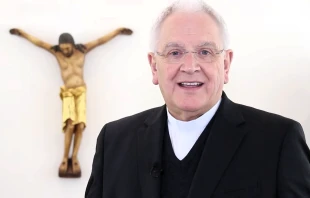 Bischof Heinrich Timmerevers / Screenshot von YouTube