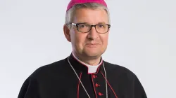 Bischof Kohlgraf / Bistum Mainz