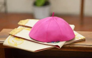 Kopfbedeckung eines katholischen Bischofs / Antonio Gravante / Shutterstock