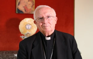 Kardinal Antonio Cañizares Llovera (Archivbild) / Daniel Ibáñez / EWTN News
