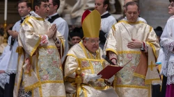 Kardinal Raymond Burke im Petersdom / Daniel Ibáñez / EWTN News