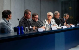 Pressekonferenz im Vatikan zur Amazonas-Synode am 10. Oktober 2019 / Daniel Ibanez / CNA Deutsch