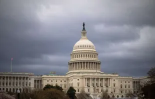 US Capitol / Nicole Glass Photography/Shutterstock