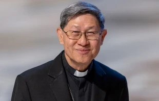 Kardinal Luis Tagle / Credit: Daniel Ibáñez / EWTN News