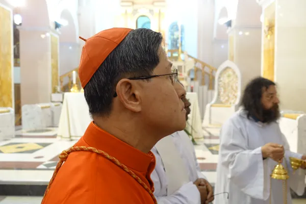 Blick auf das Antlitz Gottes: Kardinal Tagle in Manoppello  / EWTN.TV / Paul Badde