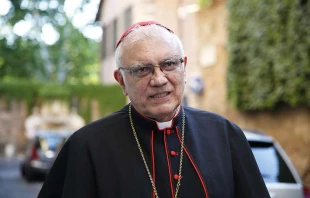 Kardinal Baltazar Enrique Porras Cardozo am 12. Juni 2017 in Rom / Daniel Ibanez / CNA Deutsch