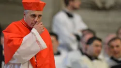 Kardinal Daniel DiNardo im Vatikan im Jahr 2013 / Gabriel Bouys / AFP / Getty Images