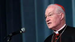 Kardinal Marc Ouellet PSS ist Präfekt der Bischofskongregation. / Franco Origlio/Getty Images News