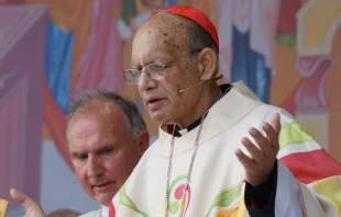 Kardinal Gracias feiert die heilige Messe beim Weltfamilientreffen am 22. August 2018 / Rudolf Gehrig / EWTN 