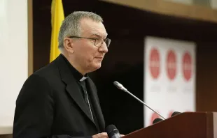 Kardinal Pietro Parolin / CNA Deutsch / Daniel Ibanez