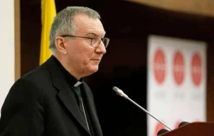 Kardinalstaatssekretär Pietro Parolin / Daniel Ibanez / ACI Prensa