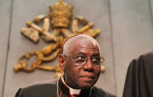 Kardinal Robert Sarah, Präfekt der Kongregation für den Gottesdienst und die Sakramentenordnung, am 10. Februar 2015 im Vatikan. / Bohumil Petrik / CNA Deutsch