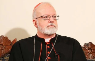 Kardinal Sean O'Malley  / CNA / Stephen Driscoll