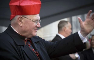 Kardinal Timothy Dolan / Glynnis Jones/Shutterstock