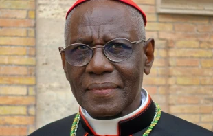 Kardinal Robert Sarah / Paul Badde / EWTN.TV