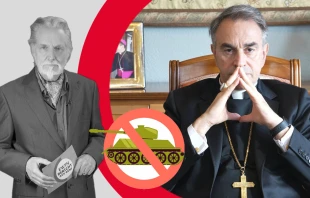 Christian Peschken (EWTN) im Gespräch mit Erzbischof Ettore Balestrero, dem Ständigen Vertreter des Heiligen Stuhls bei der UN in Genf / 