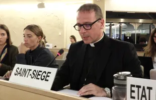 Msgr Mauro Cionini wahrend seiner Rede / Screenshot 