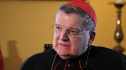 Kardinal Raymond Leo Burke  / CNA / Joaquín Peiró Pérez