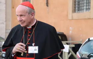 Kardinal Christoph Schönborn OP / CNA / Bohumil Petrik