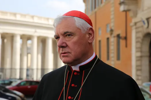 Kardinal Müller vor der Synodenhalle während der Familiensynode am 13. Oktober 2014 / CNA/Daniel Ibanez