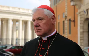 Kardinal Müller vor der Synodenhalle während der Familiensynode am 13. Oktober 2014 / CNA/Daniel Ibanez