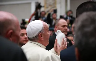 Papst Franziskus hält eine Taube beim Besuch der Kathedrale des Heiligen Geistes in Istanbul am 29. November 2014.
 / CNA/Daniel Ibanez