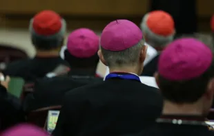 Würdenträger in der Synodenhalle am 14. Oktober 2015 / CNA/Daniel Ibanez