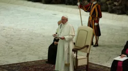 Papst Franziskus am 6. Juli 2016. / CNA/Daniel Ibanez