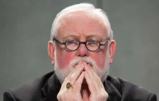 Erzbischof Paul Gallagher / Daniel Ibanez / CNA Deutsch 