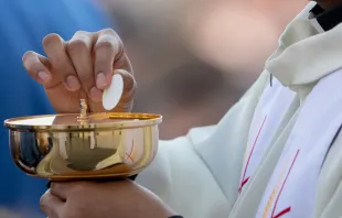 Ein Priester verteilt den Leib Christi am Barmherzigkeitssonntag, 8. April 2018, auf dem Petersplatz / CNA Deutsch / Daniel Ibanez