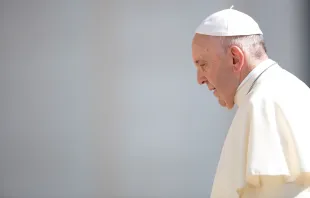 Papst Franziskus bei der Generalaudienz am 20. Juni 2018 / Daniel Ibanez / CNA Deutsch