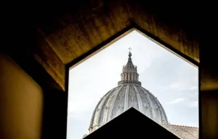 Blick auf die Kuppel des Petersdoms im Vatikan / Daniel Ibanez / CNA Deutsch 