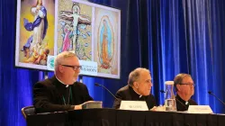 Bischof Christopher Coyne, Kardinal Daniel DiNardo und Bischof Timothy Doherty (von links) bei der Pressekonferenz in Baltimore am 12. November 2018 / Christine Rousselle / CNA Deutsch