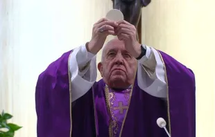 Papst Franziskus bei der Feier des heiligen Messopfers in der Kapelle des Domus Santa Marta im Vatikan. / Vatican Media