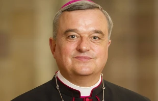 Bischof Karl-Heinz Wiesemann / Karl Hoffmann/Bistum Speyer