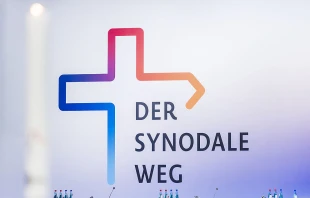 Synodaler Weg / Synodaler Weg / Max von Lachner