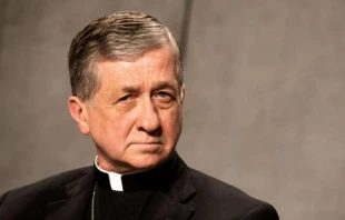 Kardinal Blase Cupich im Presse-Saal des Vatikans am 18. Februar 2019 / Daniel Ibanez / CNA Deutsch