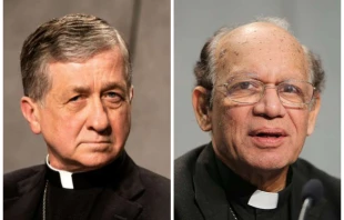 Kardinäle Blaise Cupich und Oswald Gracias (von links) / Daniel Ibanez (2) / CNA Deutsch