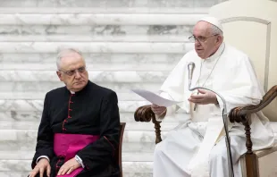 Papst Franziskus spricht bei der Generalaudienz am 7. Oktober 2020.  / Daniel Ibanez / CNA Deutsch 