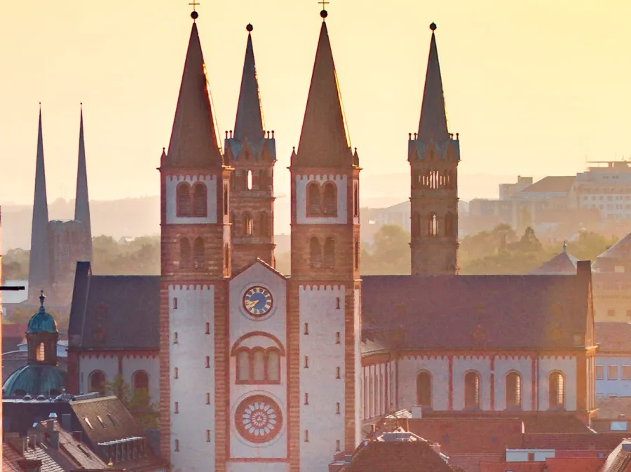 Der Würzburger Dom