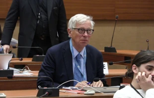 Professor Veuthey vom Malteserorden / Screenshot