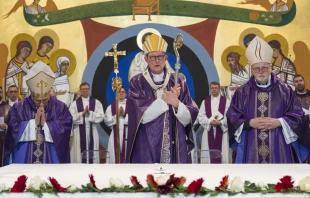 Kardinal Varela, Kardinal Woeli, Kardinal Arborelius / Marcin Gęsiarz.jpg