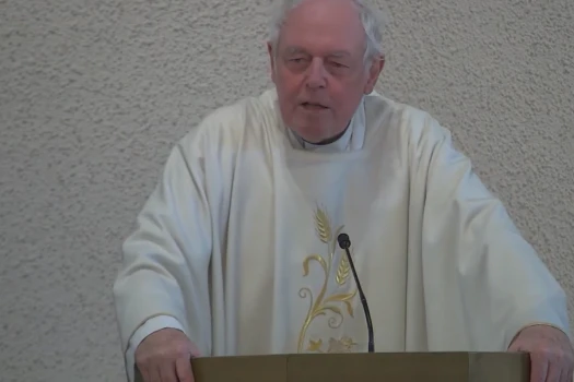 Emeritierter Dogmatiker Dieter Hattrup. / Screenshot von YouTube