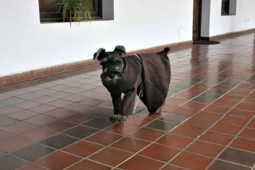 Frater Carmelo alias Bruder Schnurrbart 
 / St. Franziskus-Kloster, Cochabamba via CNA