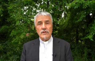 Weihbischof Thomas Maria Renz / Screenshot von YouTube