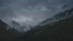 Graue Wolken (Symbolbild) / Egor Myznik / Unsplash